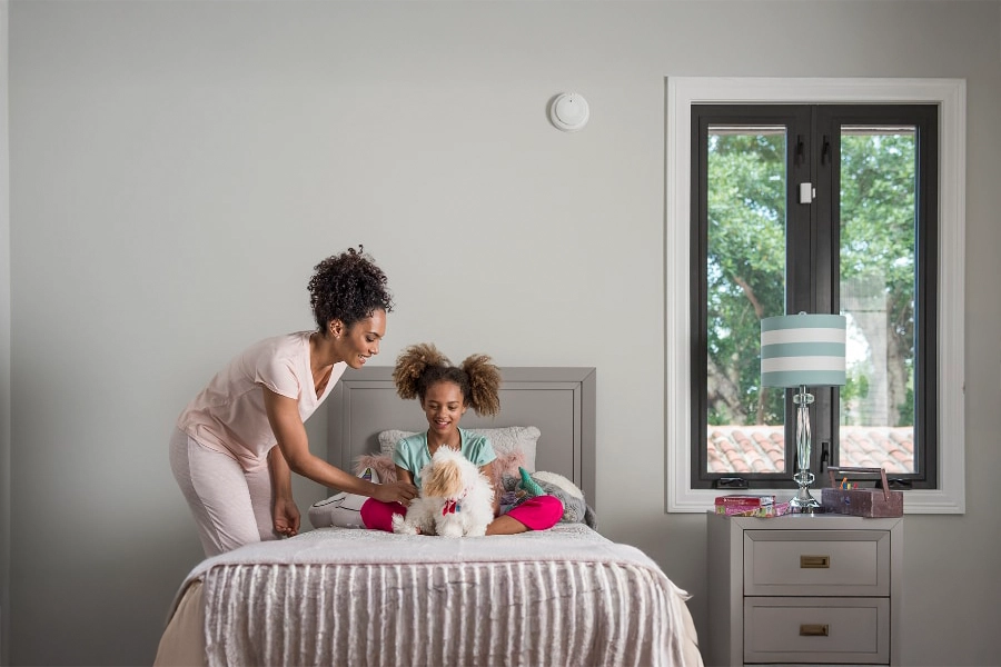 smoke & carbon detector Bellingham